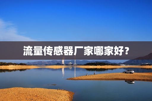 流量传感器厂家哪家好？