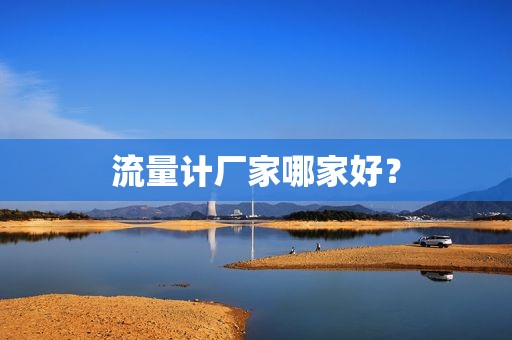 流量计厂家哪家好？