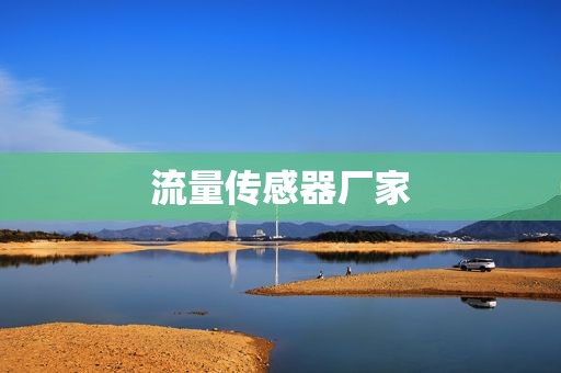 流量传感器厂家 流量传感器厂家